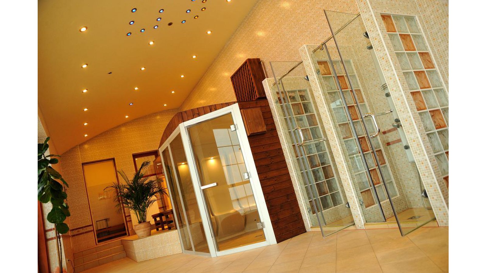 Erzsébet Hotel Hévíz ( Rudolf SPA Hotels)