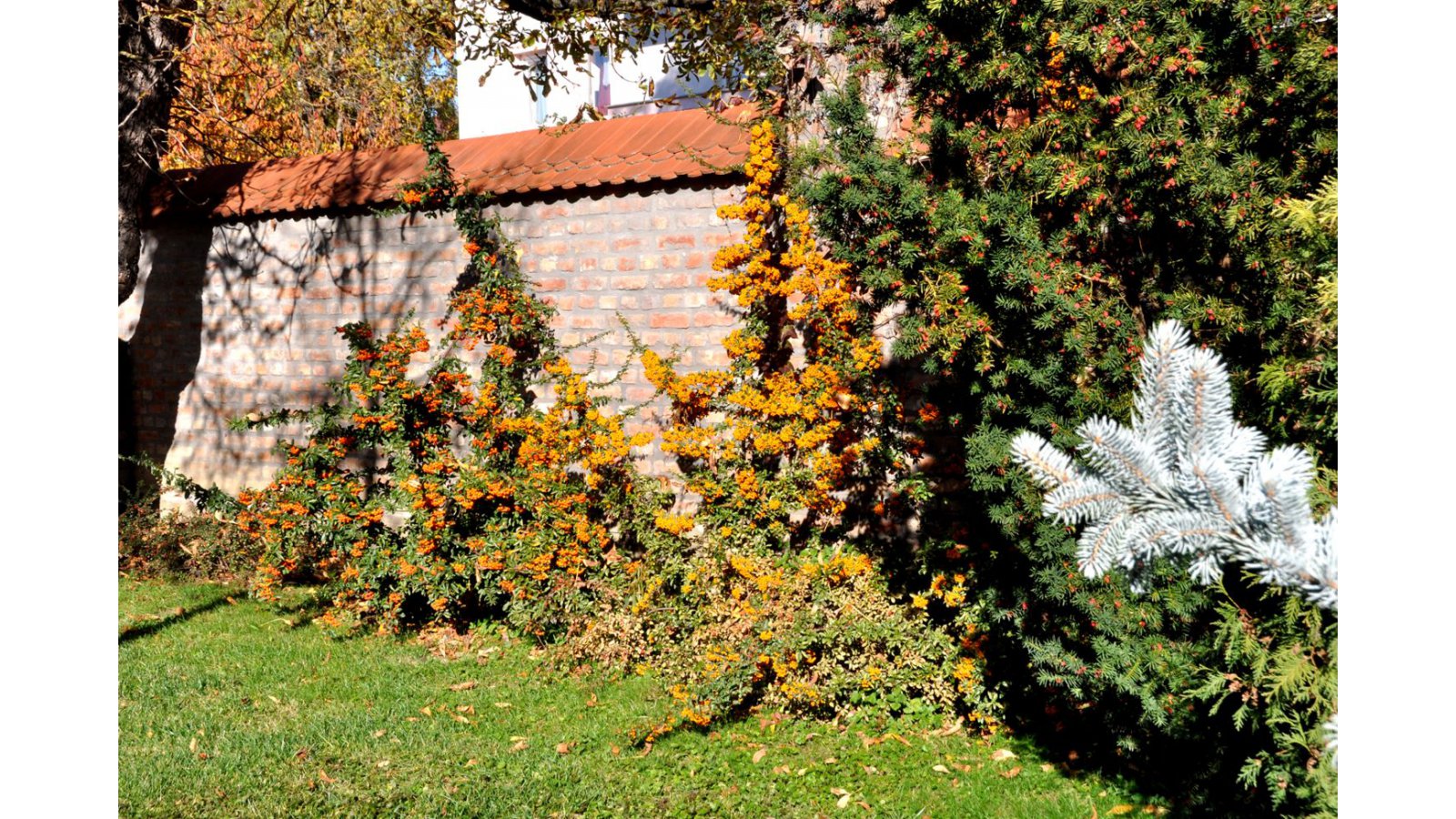 Ametiszt Hotel Harkány