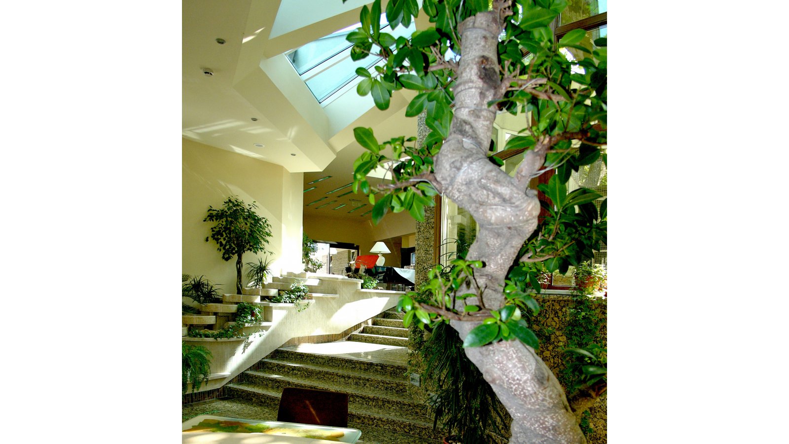 NaturMed Hotel Carbona